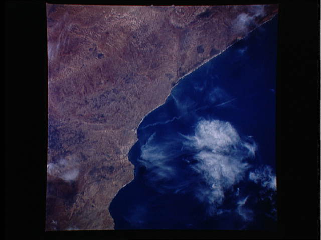 Image display