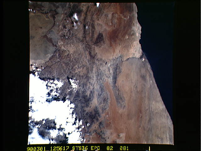 Image display