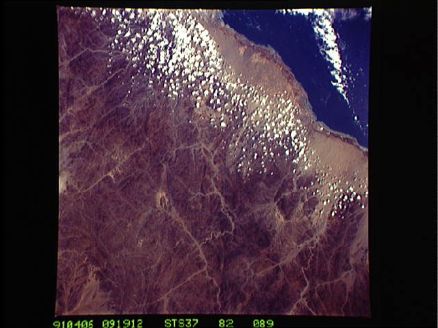 Image display