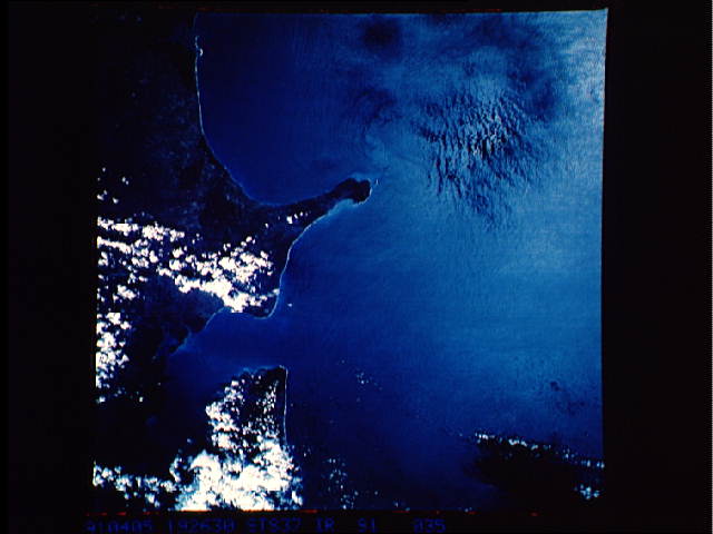 Image display