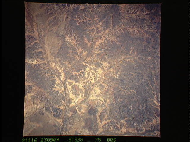 Image display