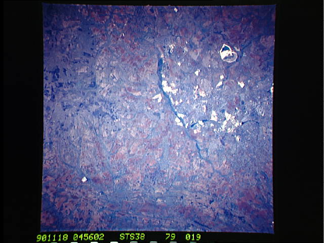 Image display