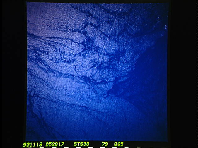 Image display