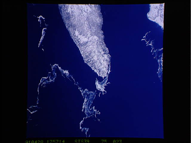 Image display