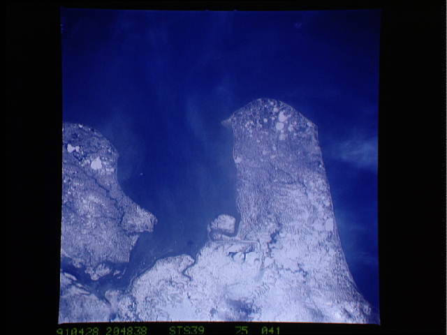 Image display