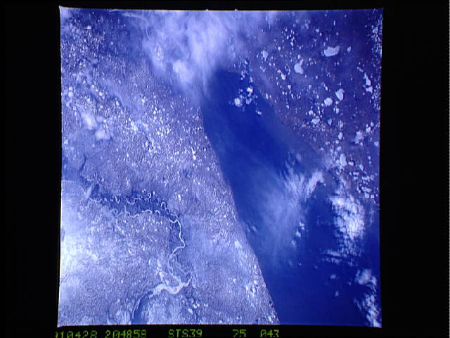 Image display