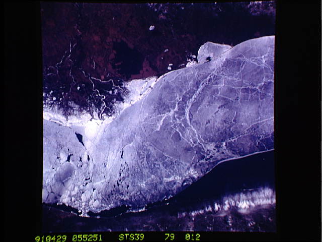 Image display