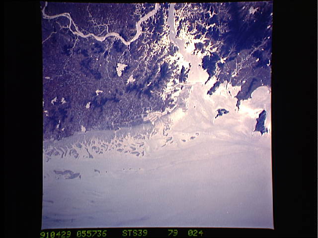 Image display