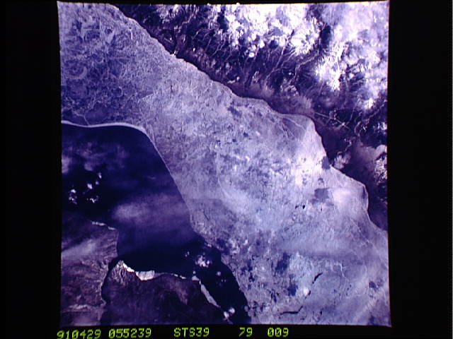 Image display