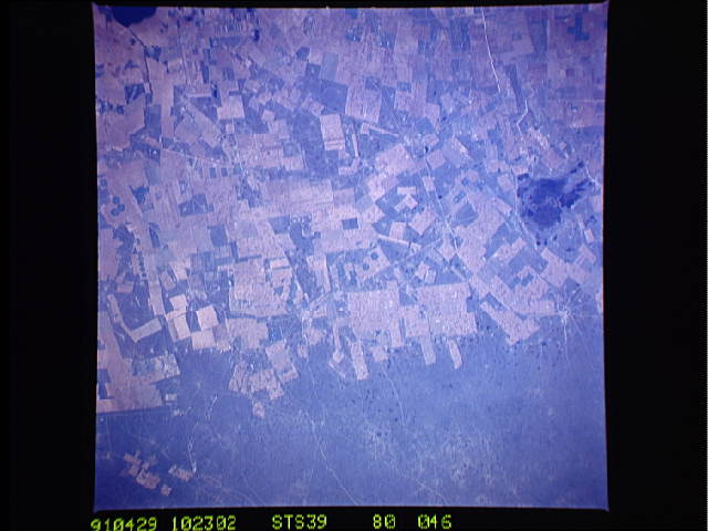 Image display