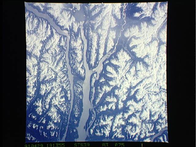 Image display