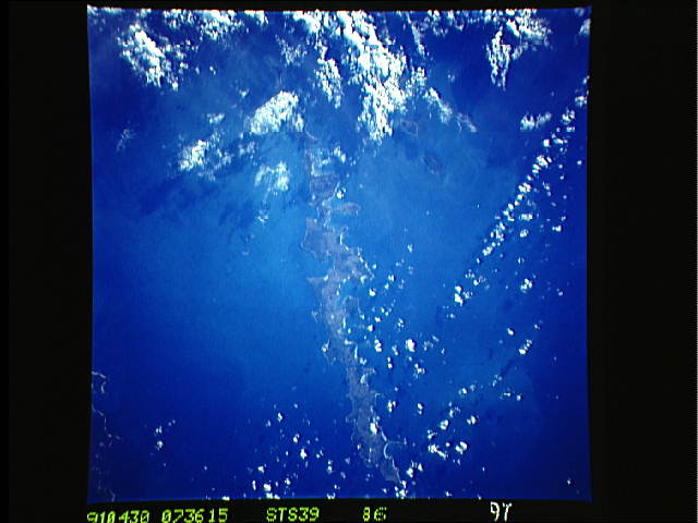Image display