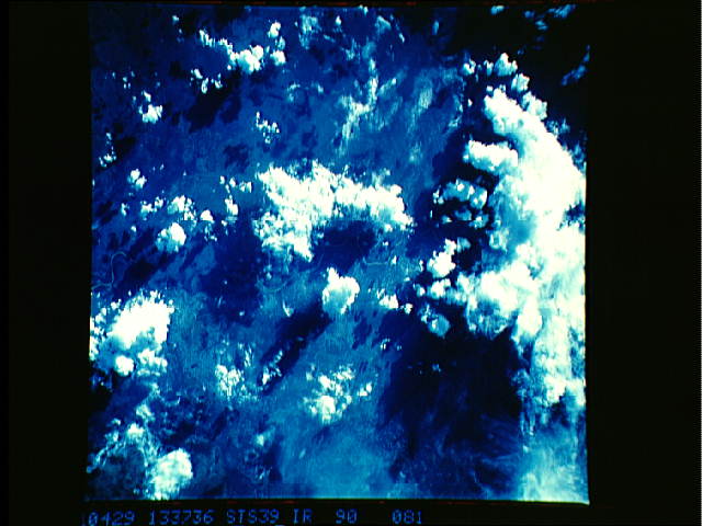 Image display