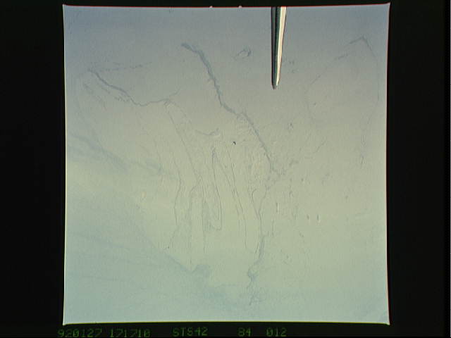 Image display