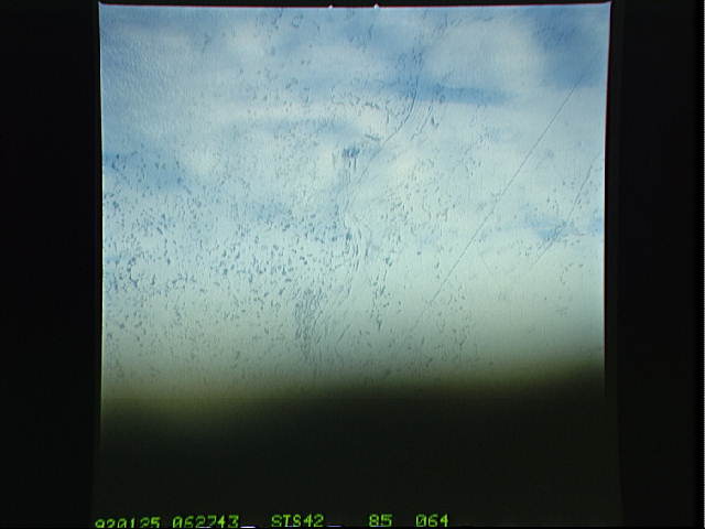 Image display