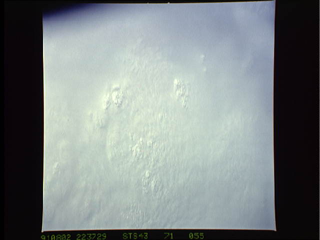 Image display