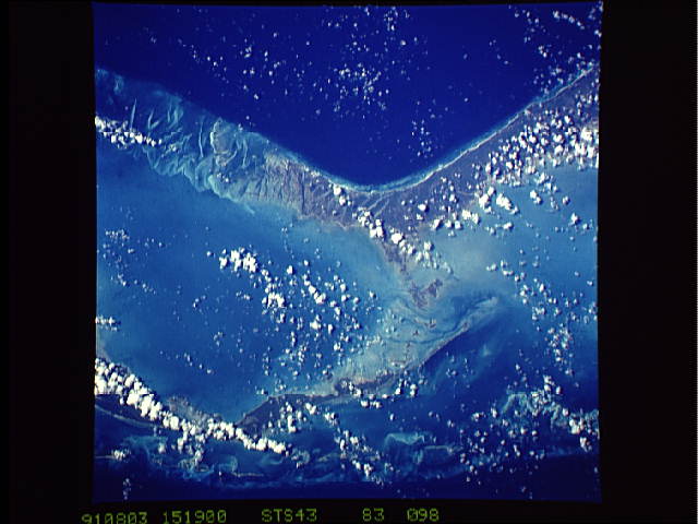 Image display