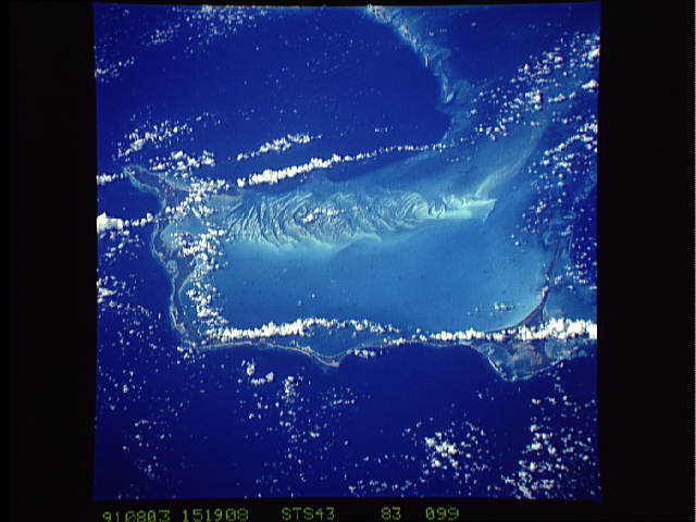 Image display