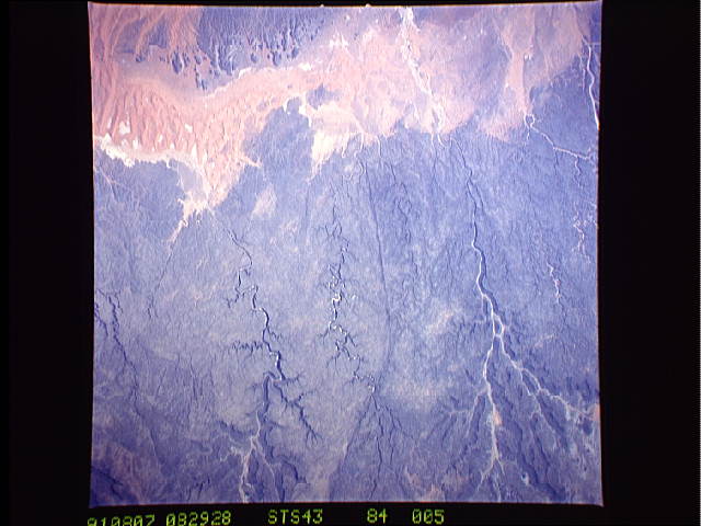 Image display