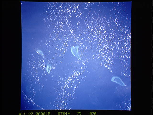 Image display