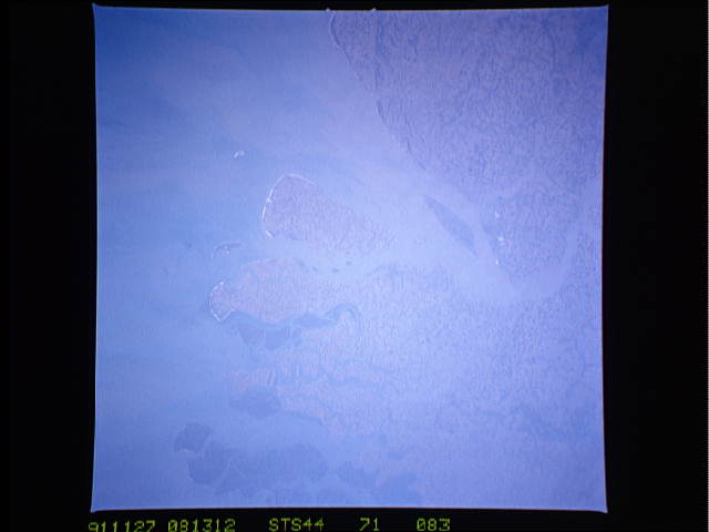 Image display