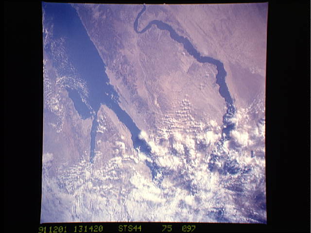 Image display