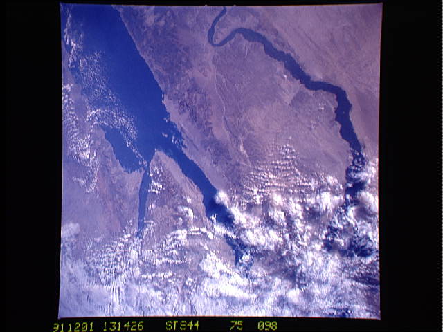 Image display