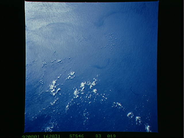 Image display