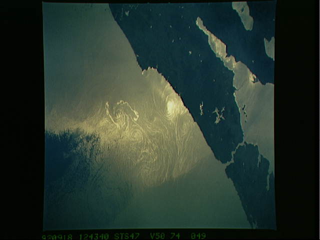 Image display