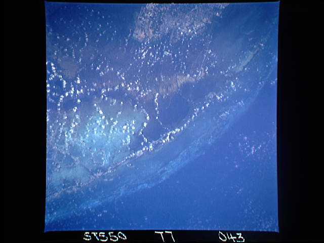 Image display