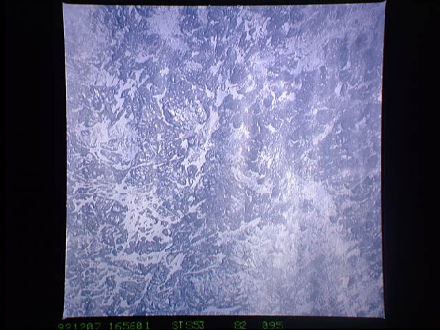 Image display