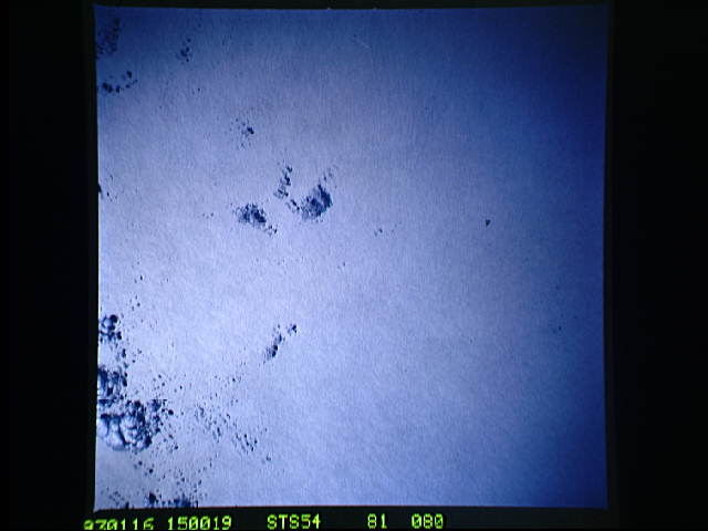 Image display
