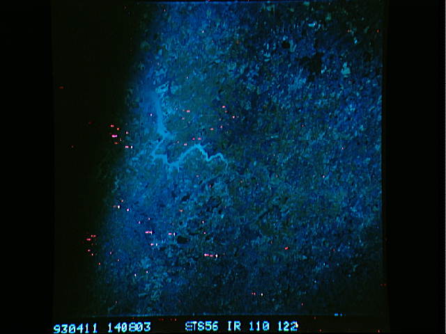 Image display
