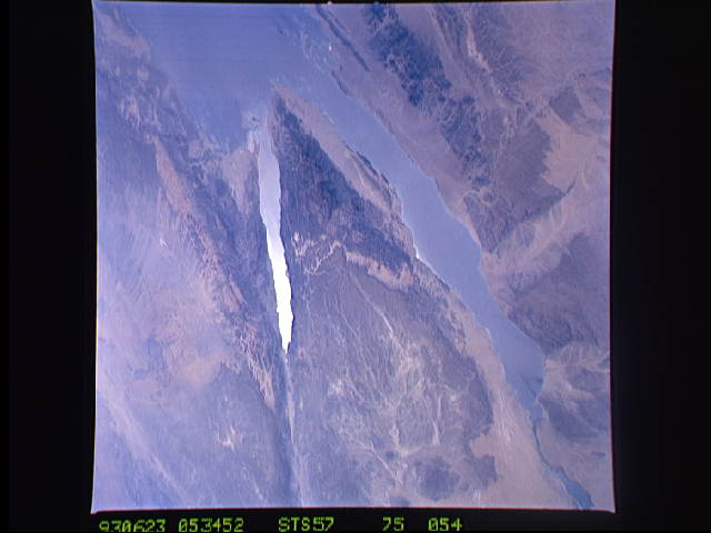 Image display