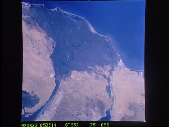 Image display