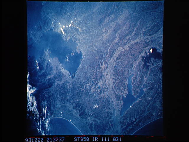 Image display