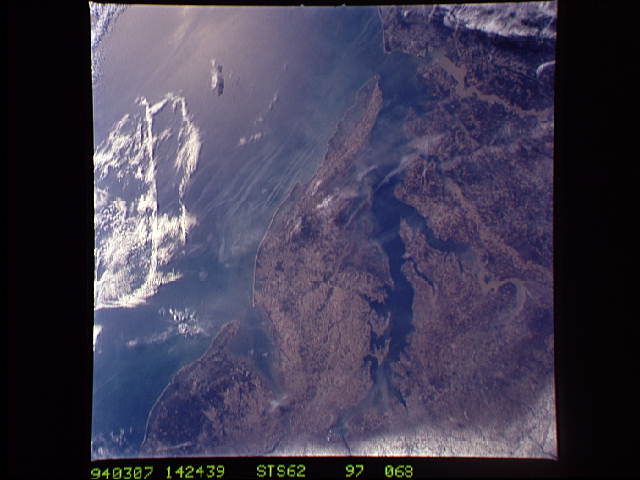 Image display