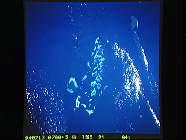 Image display