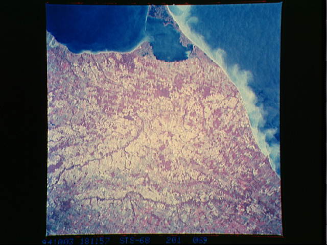 Image display