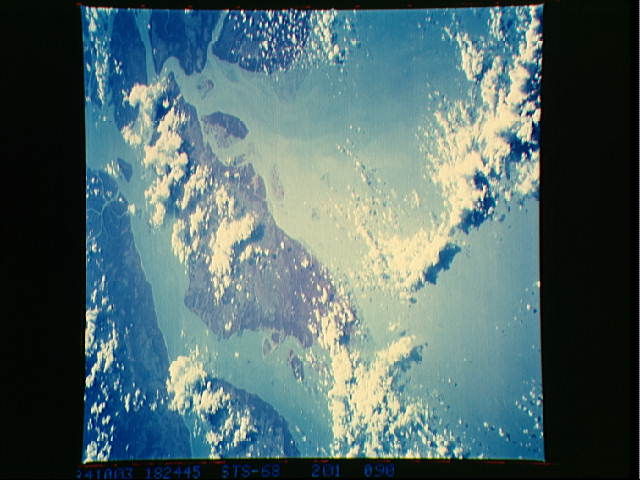 Image display