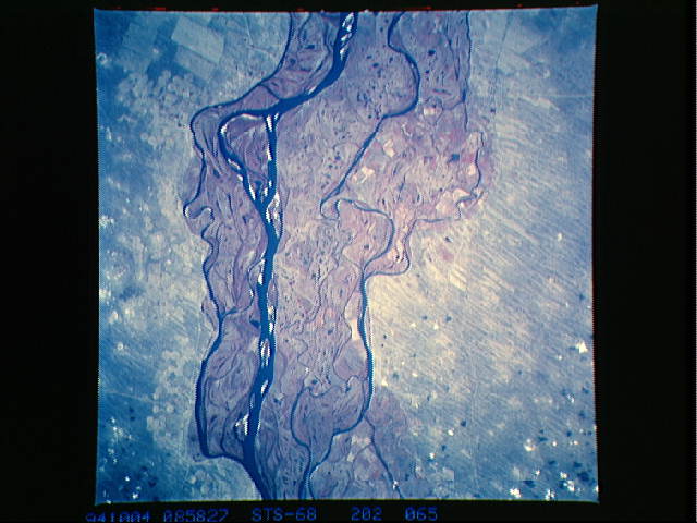 Image display