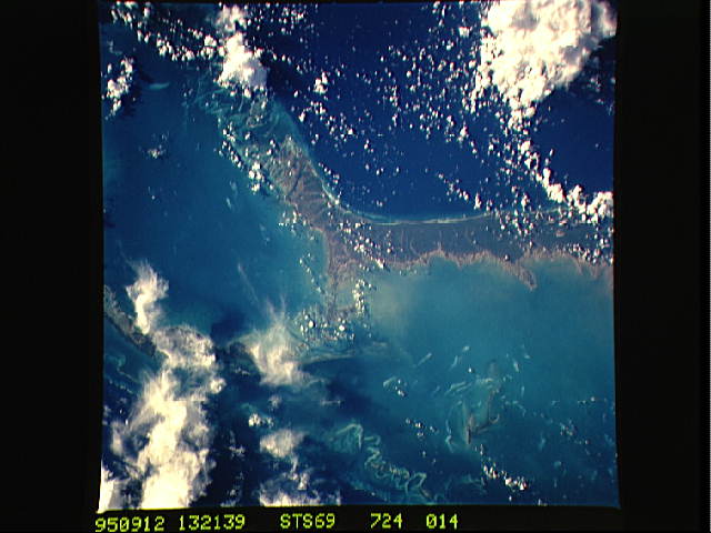 Image display