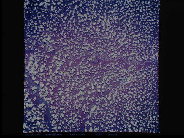 Image display