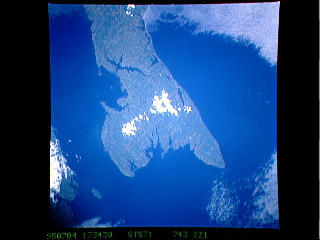 Image display