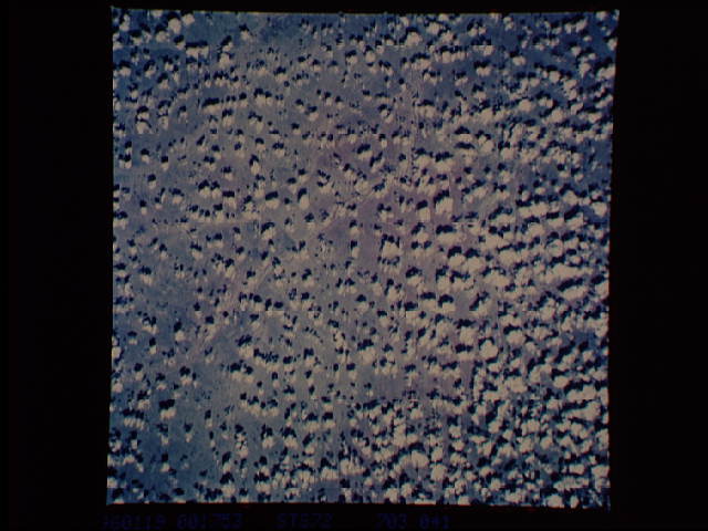 Image display