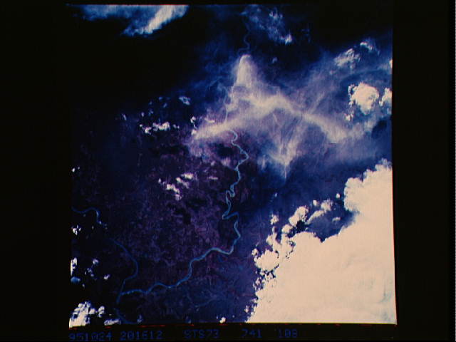 Image display