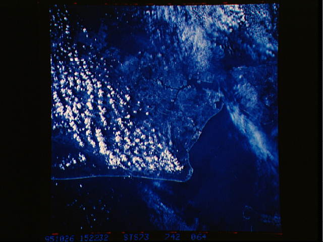 Image display