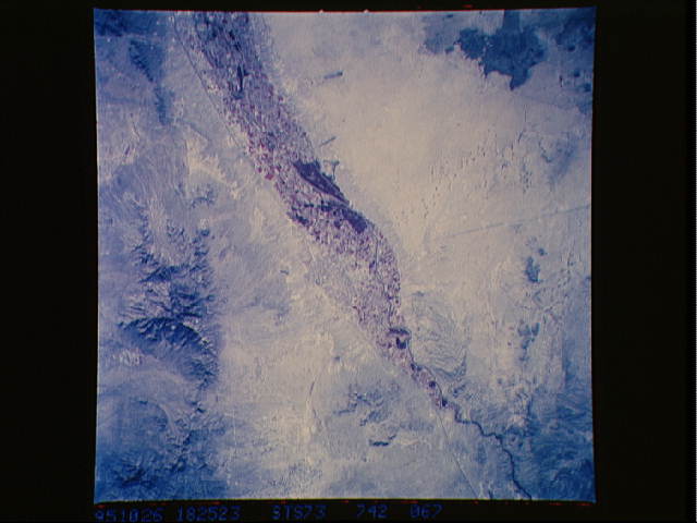 Image display