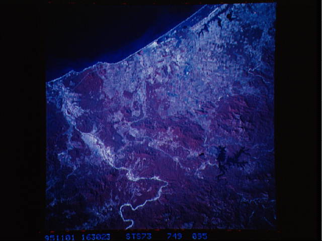 Image display