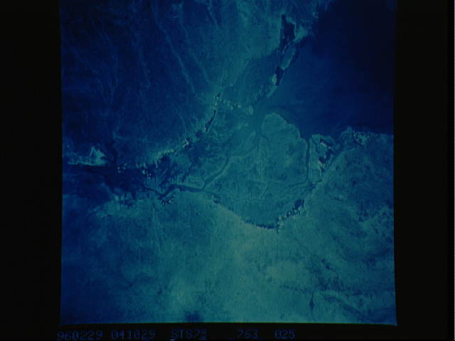 Image display